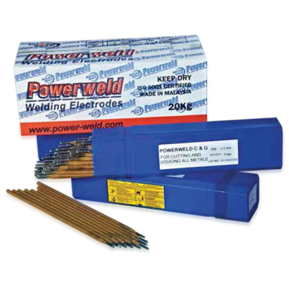MAINTENANCE ELECTRODE